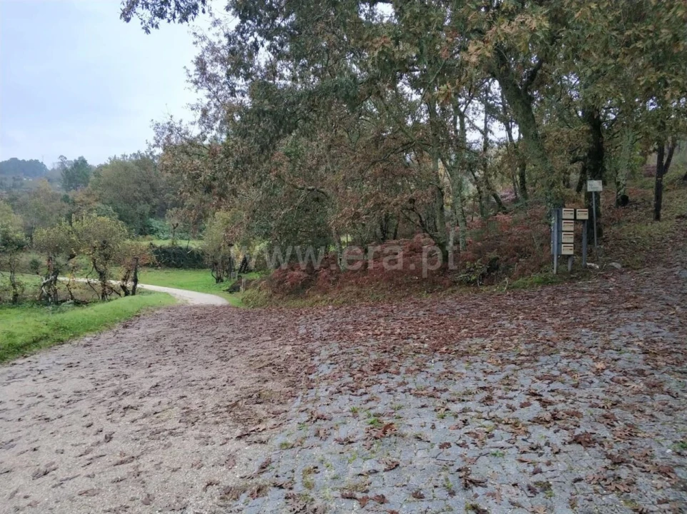 Quinta T0 para Venda em Várzea, Aliviada e Folhada Foto 11