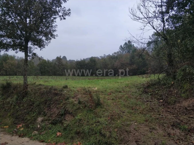 Quinta T0 para Venda em Várzea, Aliviada e Folhada Foto 14