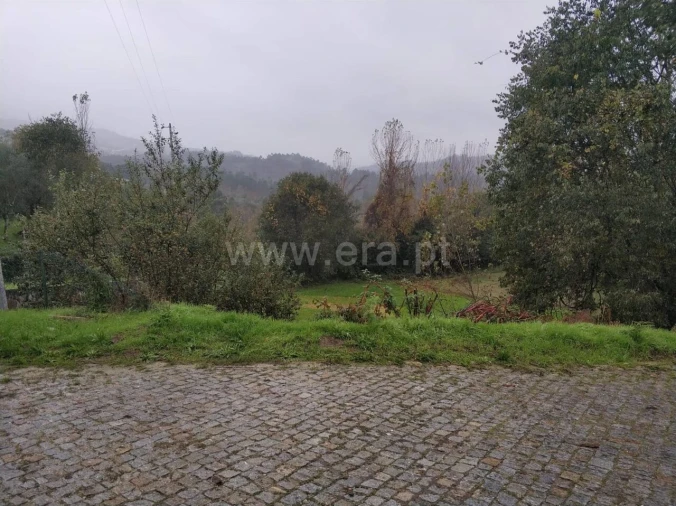 Quinta T0 para Venda em Várzea, Aliviada e Folhada Foto 4