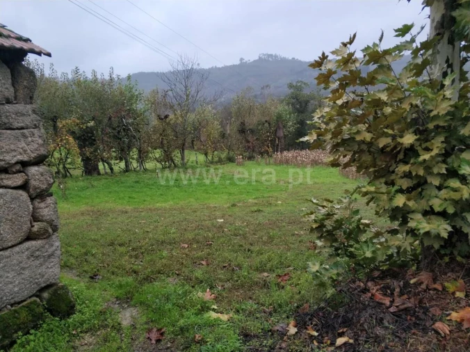 Quinta T0 para Venda em Várzea, Aliviada e Folhada Foto 9