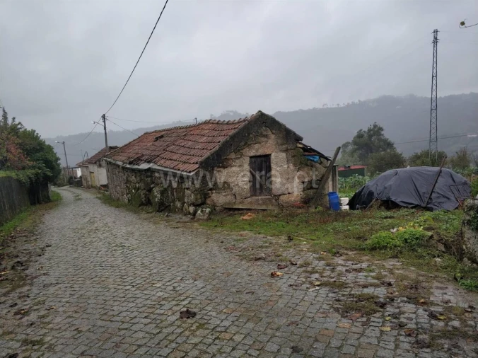 Quinta T0 para Venda em Várzea, Aliviada e Folhada Foto 3