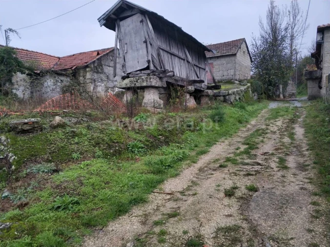 Quinta T0 para Venda em Várzea, Aliviada e Folhada Foto 7