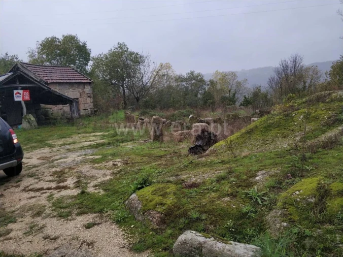 Quinta T0 para Venda em Várzea, Aliviada e Folhada Foto 5