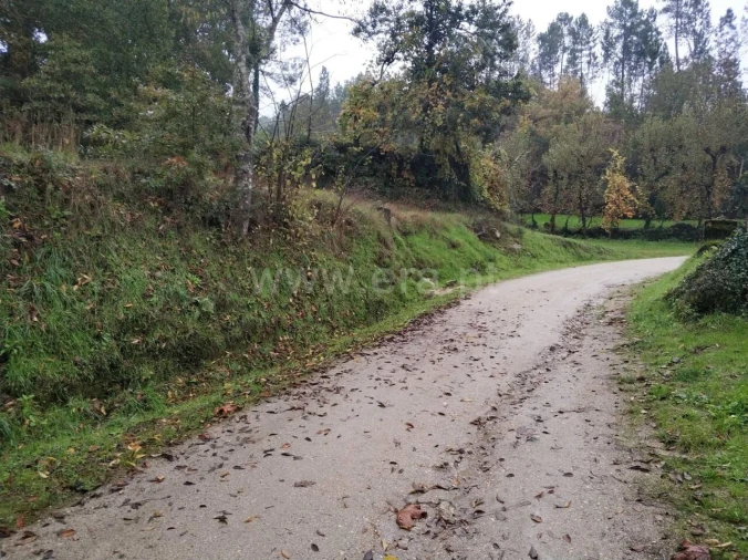 Quinta T0 para Venda em Várzea, Aliviada e Folhada Foto 13