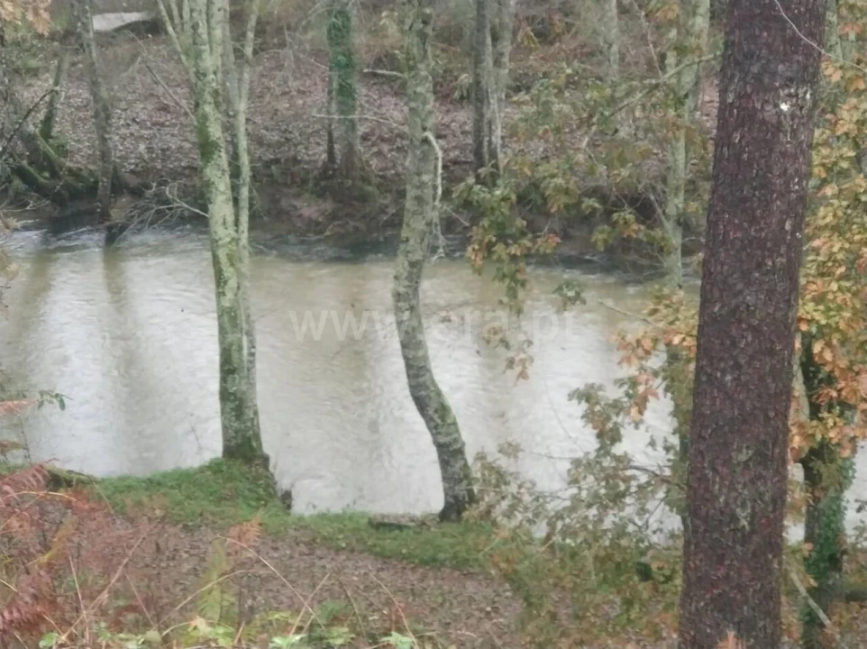 Quinta T0 para Venda em Várzea, Aliviada e Folhada Foto 1
