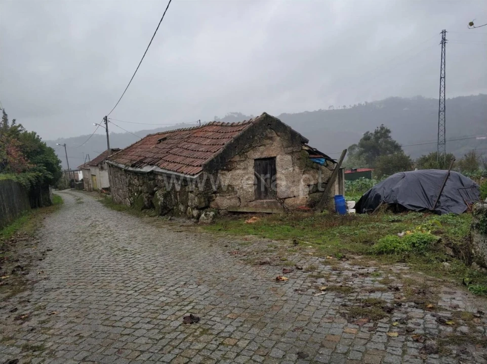 Quinta T0 para Venda em Várzea, Aliviada e Folhada Foto 3
