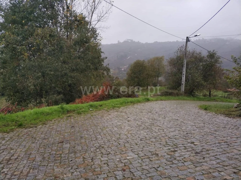 Quinta T0 para Venda em Várzea, Aliviada e Folhada Foto 12