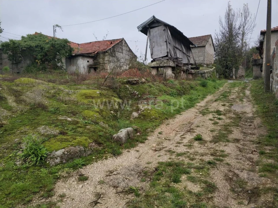 Quinta T0 para Venda em Várzea, Aliviada e Folhada Foto 6
