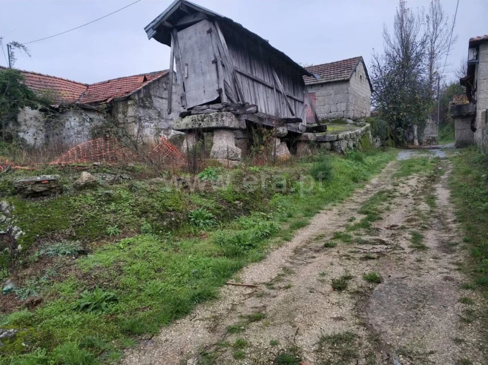 Quinta T0 para Venda em Várzea, Aliviada e Folhada Foto 7