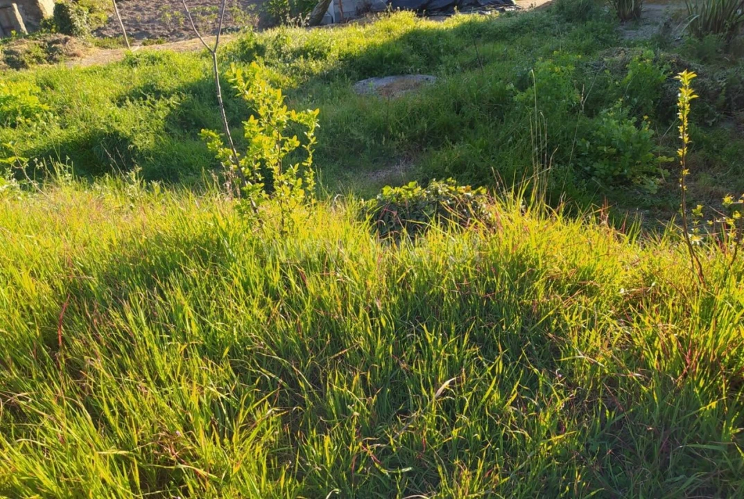 Moradia T0 para Venda em Várzea, Aliviada e Folhada Foto 2
