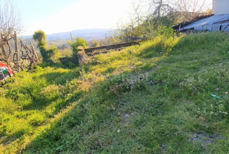 Moradia T0 para Venda em Várzea, Aliviada e Folhada Foto 5