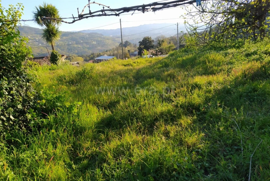 Moradia T0 para Venda em Várzea, Aliviada e Folhada Foto 3