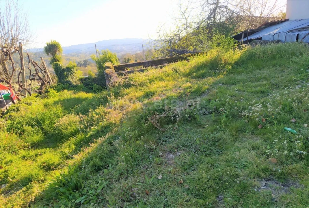 Moradia T0 para Venda em Várzea, Aliviada e Folhada Foto 5