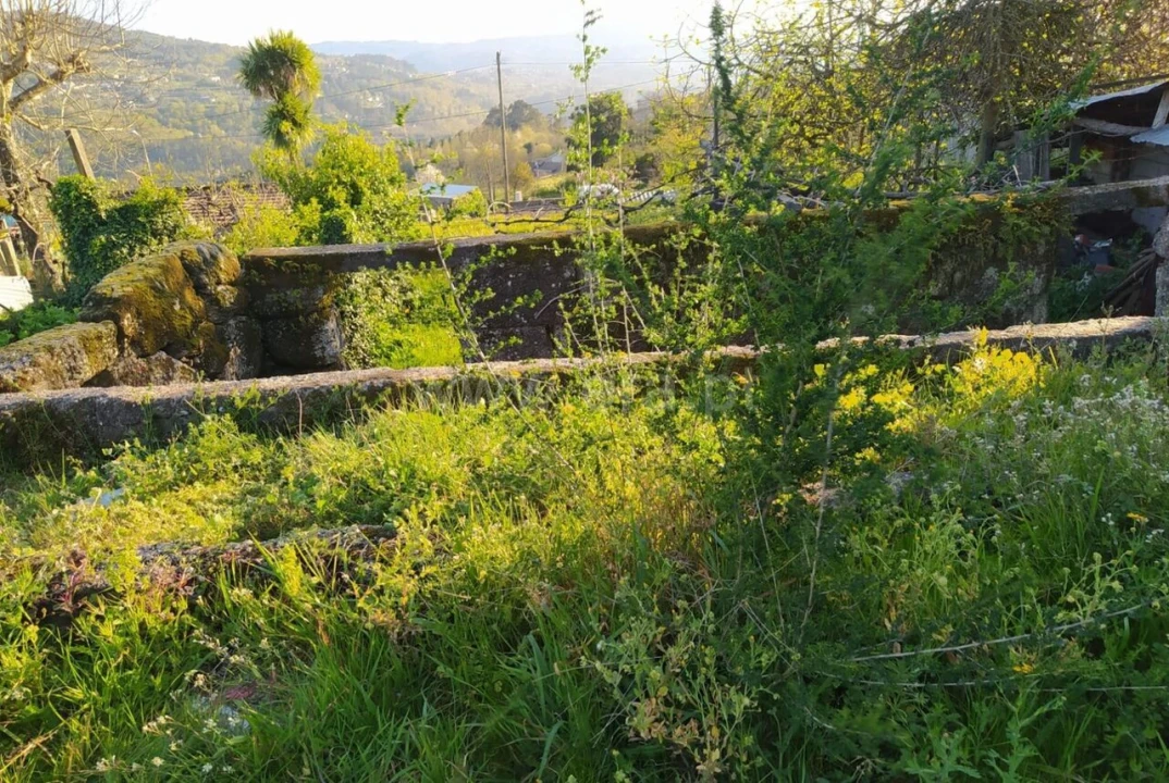Moradia T0 para Venda em Várzea, Aliviada e Folhada Foto 1