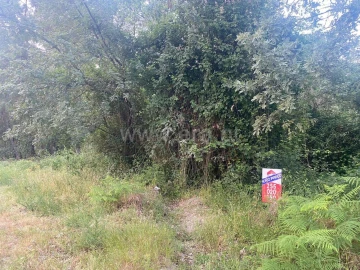 Terreno para Venda em Várzea, Aliviada e Folhada