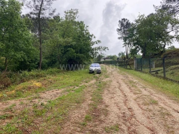 Terreno para Venda em Várzea, Aliviada e Folhada