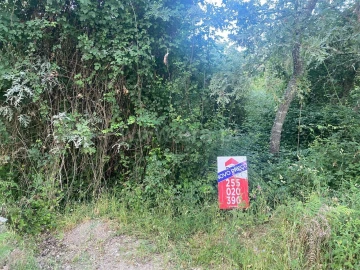 Terreno para Venda em Várzea, Aliviada e Folhada