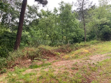 Terreno para Venda em Várzea, Aliviada e Folhada