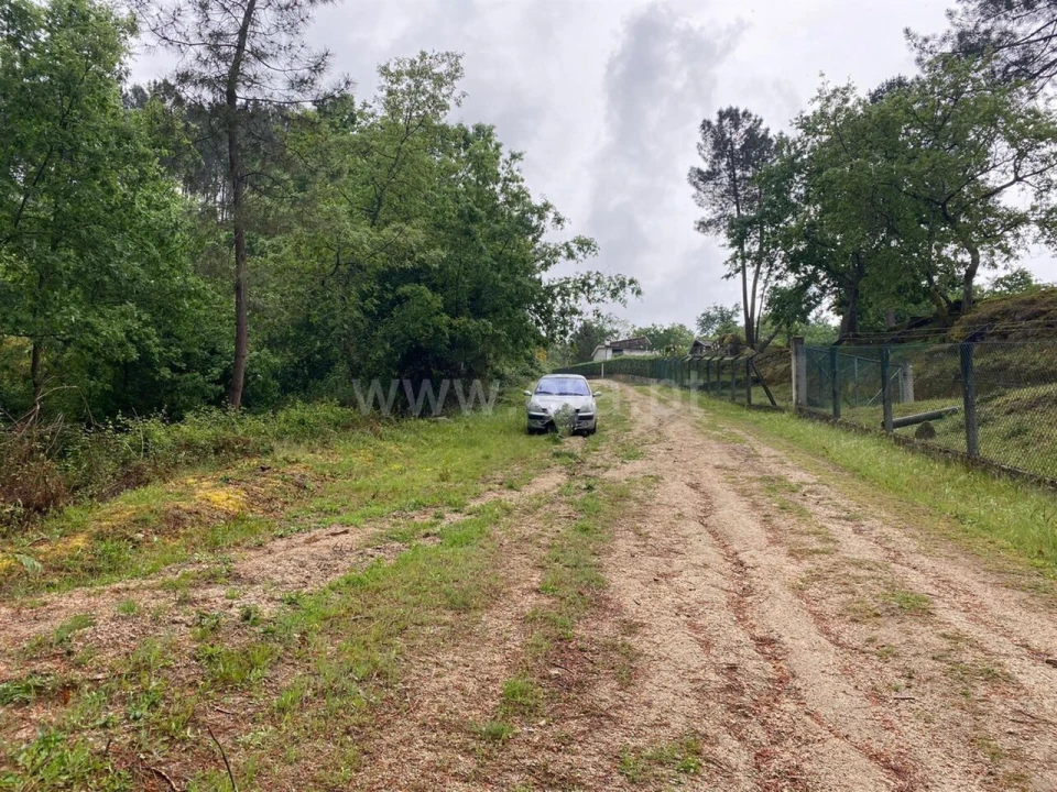 Terreno para Venda em Várzea, Aliviada e Folhada Foto 3