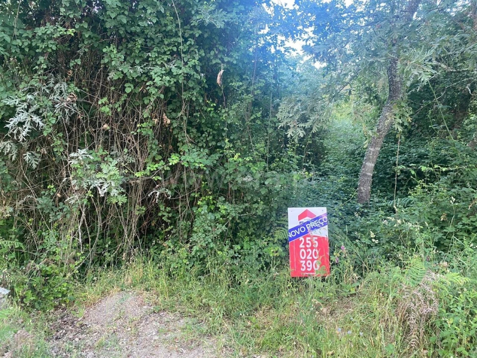 Terreno para Venda em Várzea, Aliviada e Folhada Foto 5