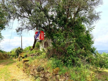 Moradia T0 para Venda em Várzea, Aliviada e Folhada