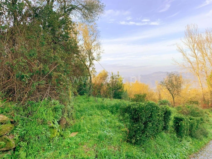 Moradia T0 para Venda em Várzea, Aliviada e Folhada Foto 5
