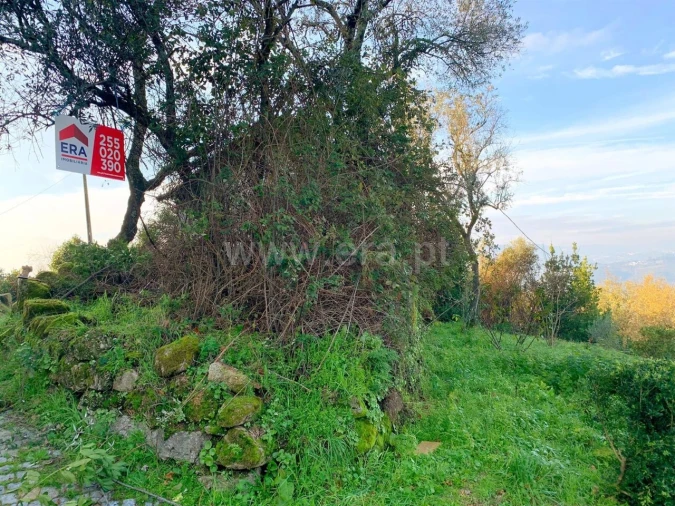 Moradia T0 para Venda em Várzea, Aliviada e Folhada Foto 6