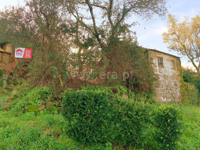 Moradia T0 para Venda em Várzea, Aliviada e Folhada Foto 3