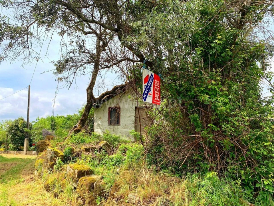 Moradia T0 para Venda em Várzea, Aliviada e Folhada Foto 8