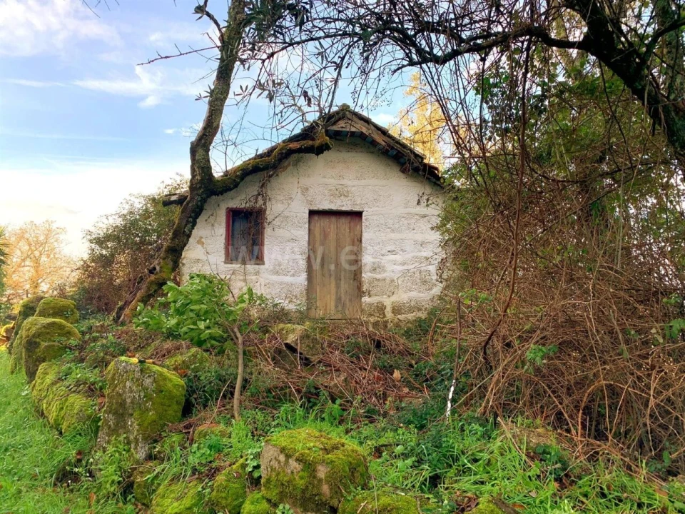 Moradia T0 para Venda em Várzea, Aliviada e Folhada Foto 1
