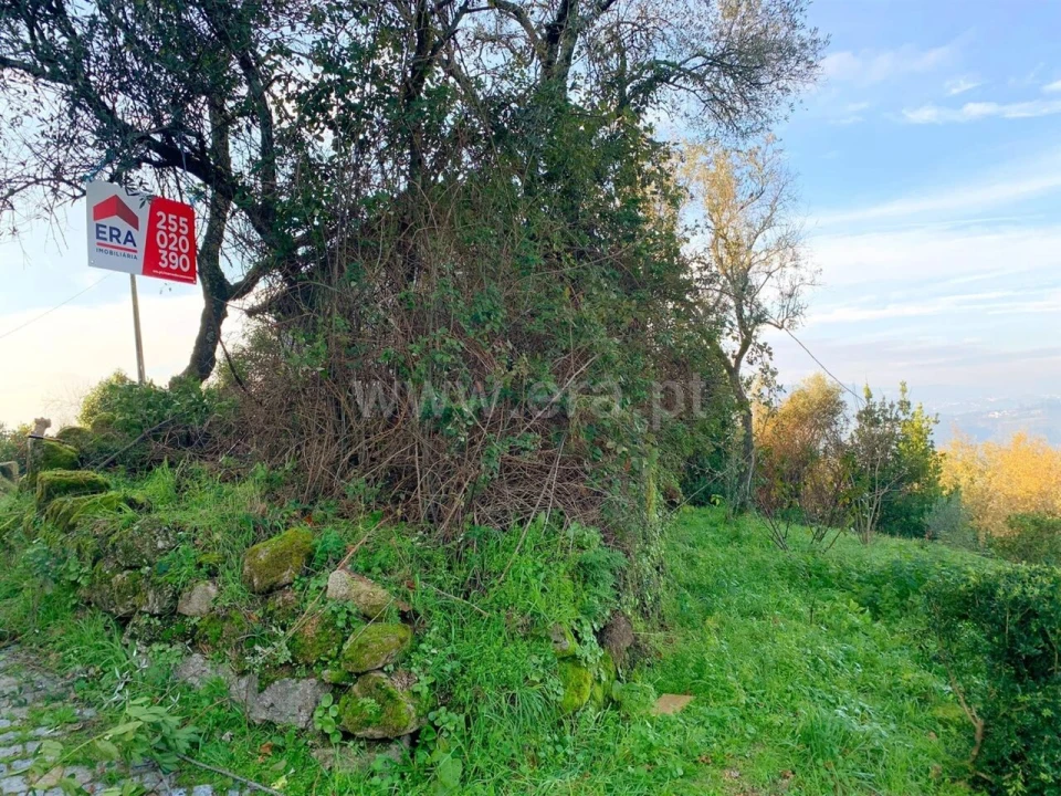 Moradia T0 para Venda em Várzea, Aliviada e Folhada Foto 6