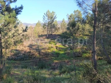 Terreno para Venda em Várzea, Aliviada e Folhada