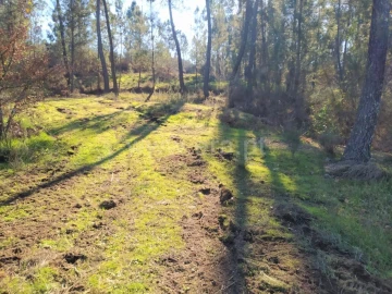 Terreno para Venda em Várzea, Aliviada e Folhada
