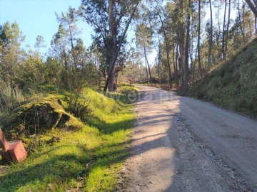 Terreno para Venda em Várzea, Aliviada e Folhada