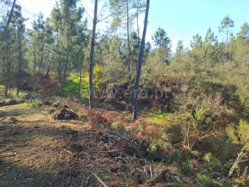 Terreno para Venda em Várzea, Aliviada e Folhada