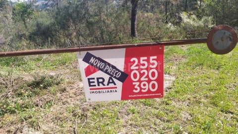 Terreno para Venda em Várzea, Aliviada e Folhada