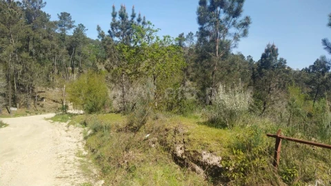 Terreno para Venda em Várzea, Aliviada e Folhada
