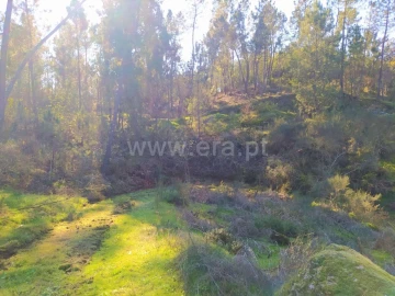 Terreno para Venda em Várzea, Aliviada e Folhada