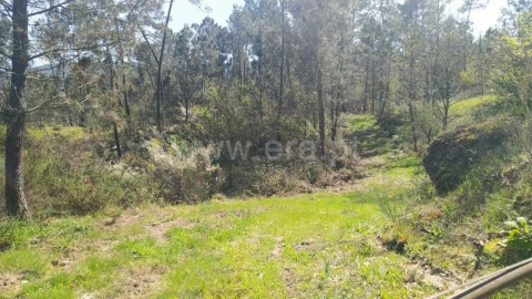 Terreno para Venda em Várzea, Aliviada e Folhada