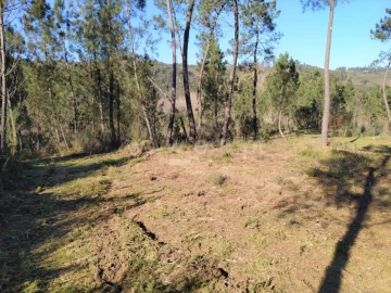 Terreno para Venda em Várzea, Aliviada e Folhada