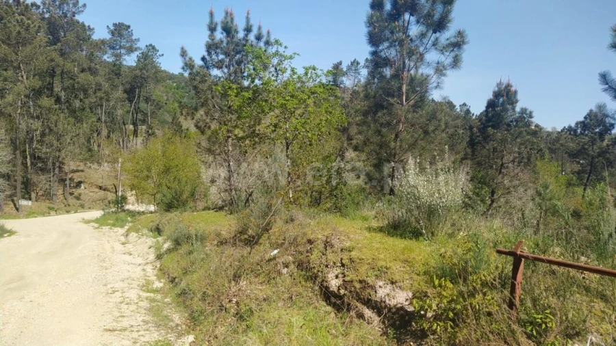 Terreno para Venda em Várzea, Aliviada e Folhada Foto 9