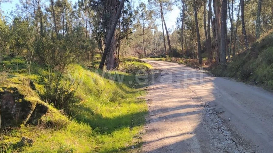 Terreno para Venda em Várzea, Aliviada e Folhada