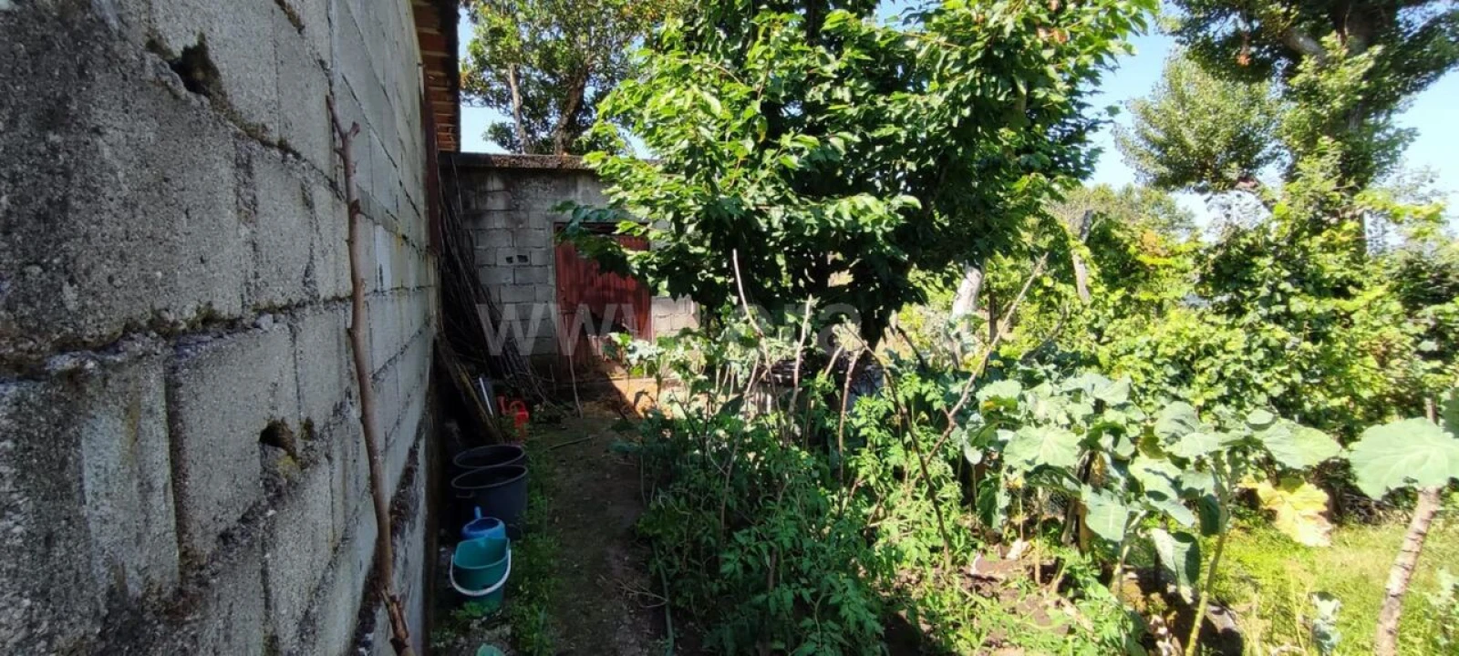 Moradia T1 para Venda em Várzea, Aliviada e Folhada Foto 1