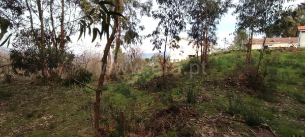 Terreno para Venda em Várzea, Aliviada e Folhada