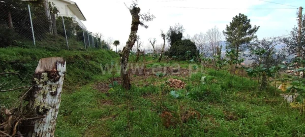 Terreno para Venda em Várzea, Aliviada e Folhada