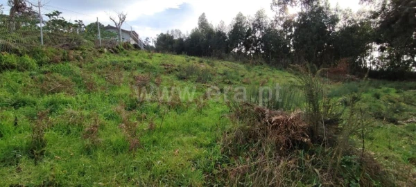 Terreno para Venda em Várzea, Aliviada e Folhada