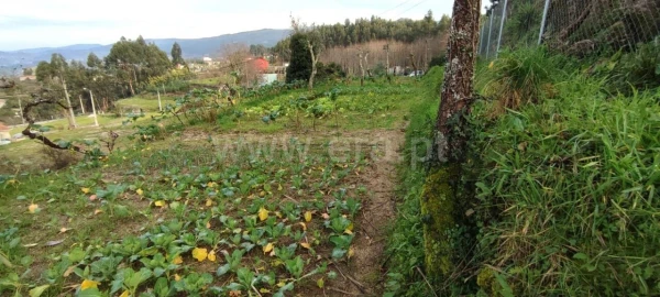 Terreno para Venda em Várzea, Aliviada e Folhada