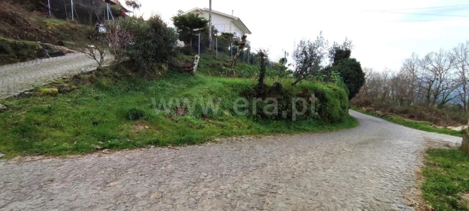 Terreno para Venda em Várzea, Aliviada e Folhada Foto 11