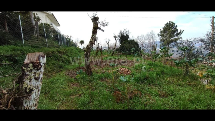 Terreno para Venda em Várzea, Aliviada e Folhada