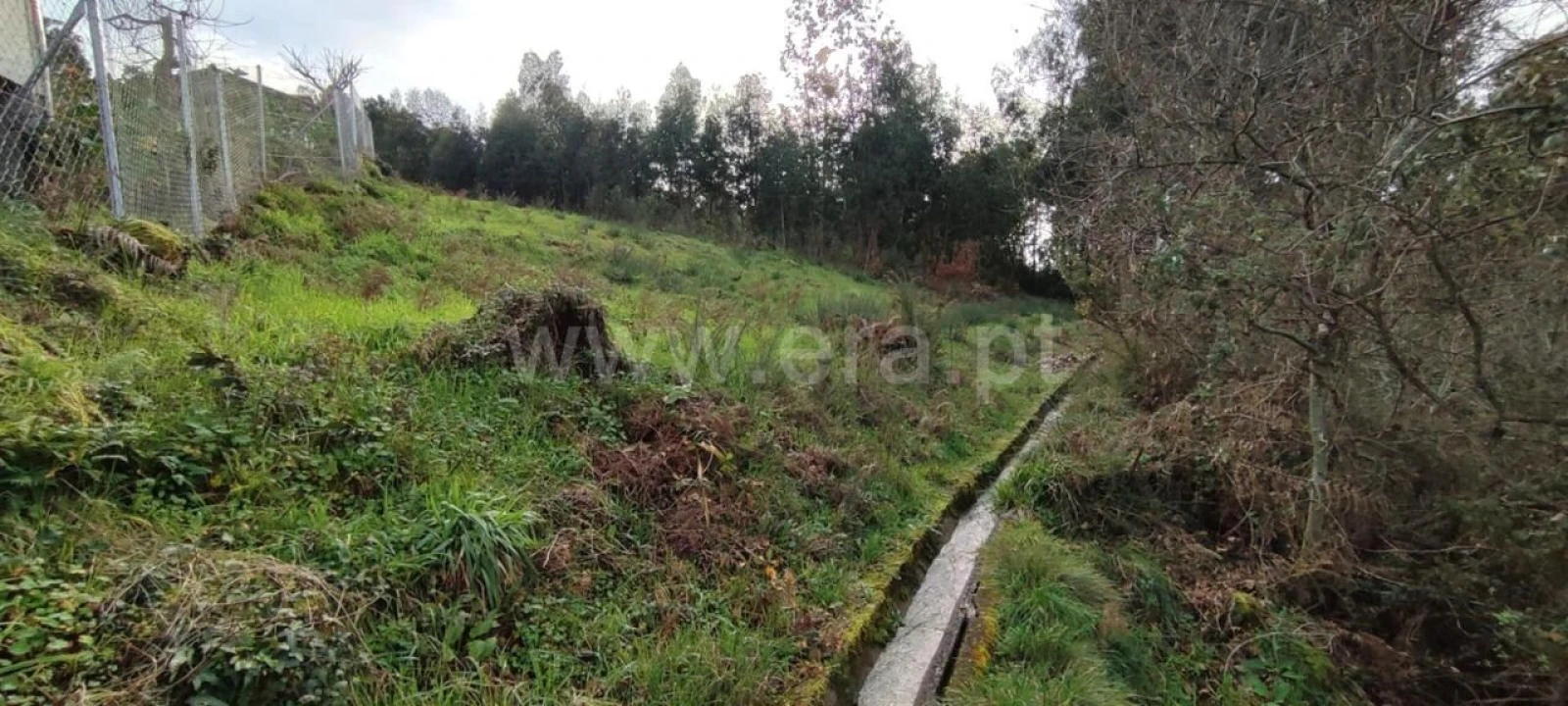 Terreno para Venda em Várzea, Aliviada e Folhada Foto 3